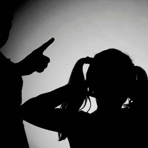 ALIENAÇÃO PARENTAL